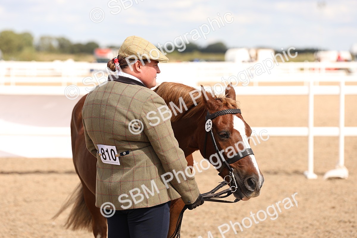 SBM_15111 - Class 209 - IH Veteran Pony