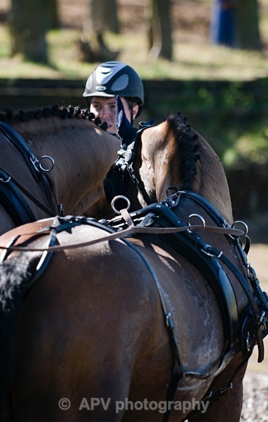 _DSC0222 - Ashfields Carriage & Polo Club