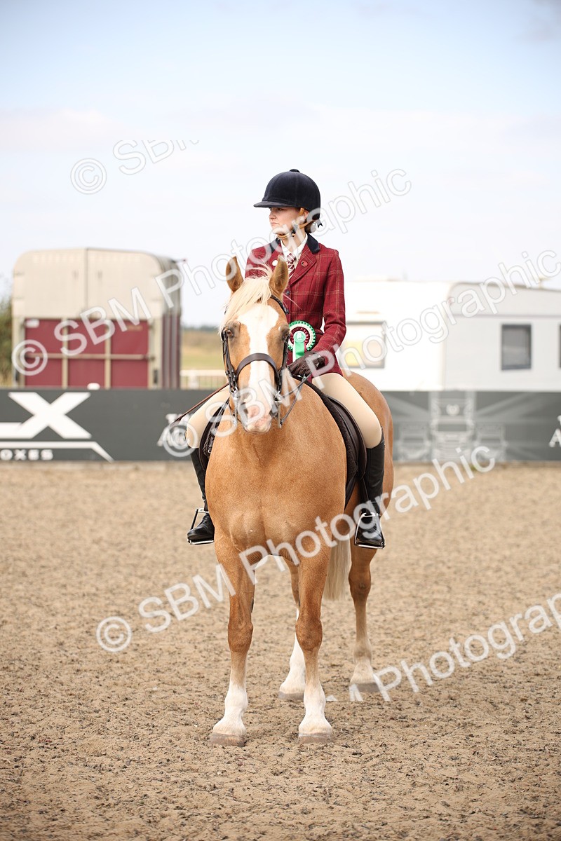 SBM_17328 - Class 410a - Wor5king Veteran 90cm (15-19)