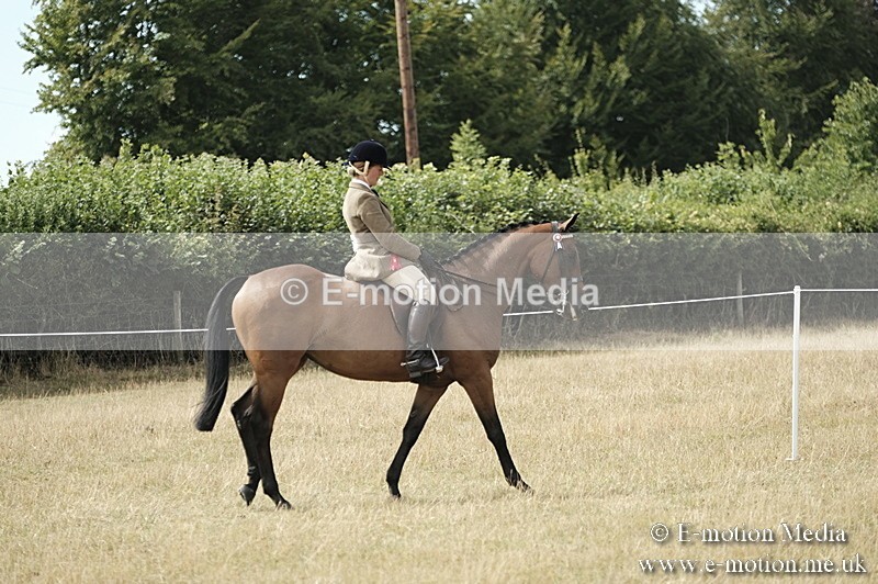 _PJP6095 - Ridden Championship BVRC Show 2018