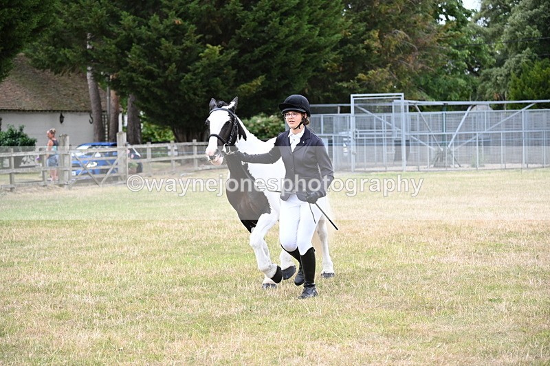 WJ6_4258 - Class 10 Coloured In-hand
