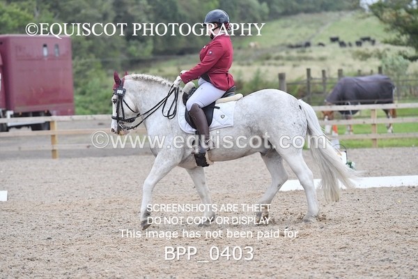 BPP_0403 - ELEM 6 & 4