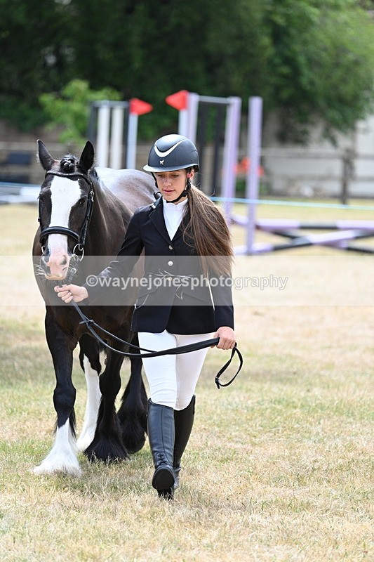 WJ7_1394 - Class 4 Prettiest Mare up to 14.2hh in hand