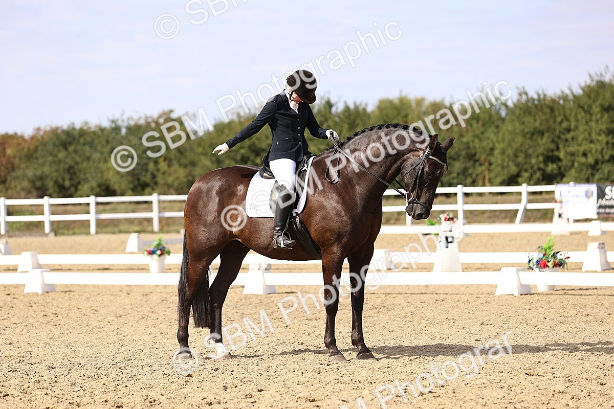 SBM_015218 - Class 8 - Medium 5