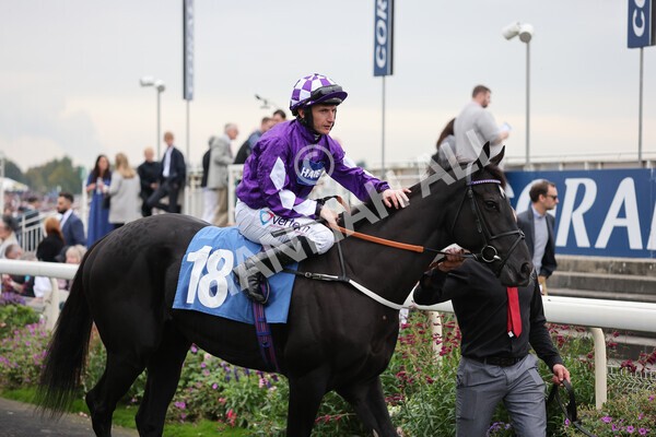 yr09102021r7-13 - Race 7 5.00pm Coral Proud Sponsors Of British Racing Finale Handicap