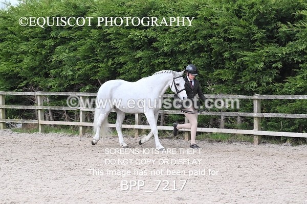 BPP_7217 - RING 1  (RIDDEN HORSES / IN HAND / VETERAN ETC)