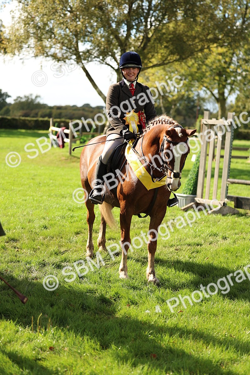 SBM_46405 - Working Hunter Pony Supreme Championship