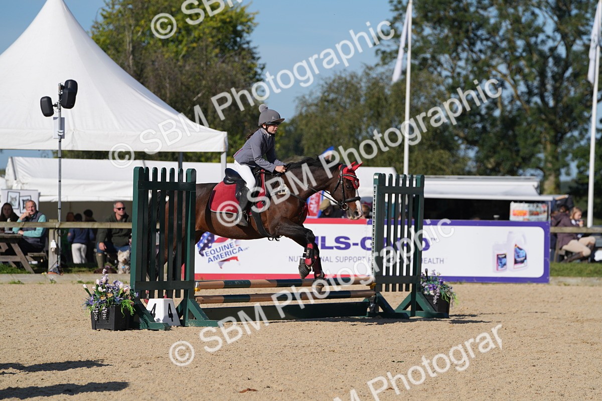 SBM_36180 - J 20 - Junior Horse 50cm Championship