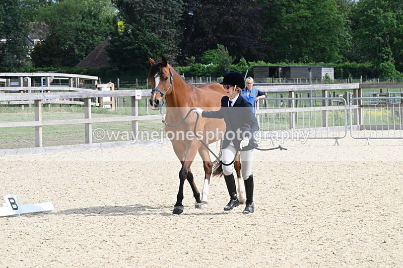 WJ7_8250 - Time 16:10 to 16:25