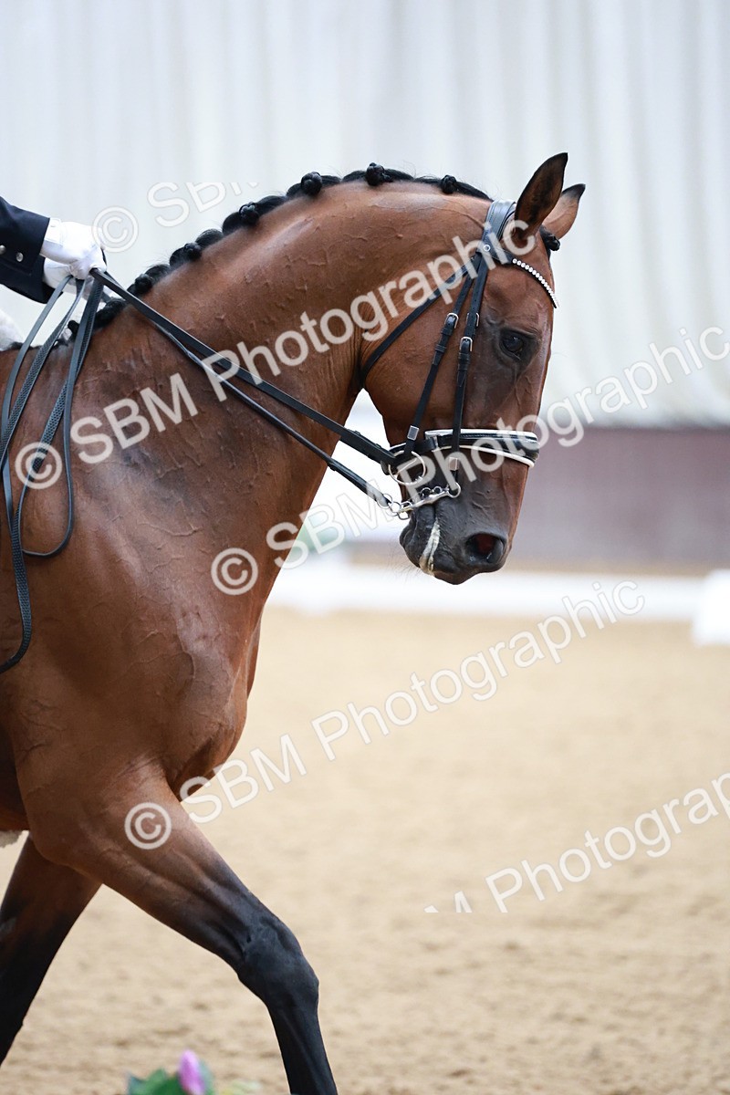 SBM_008730 - Class 14 - FEI PSG - 9.30-10.30