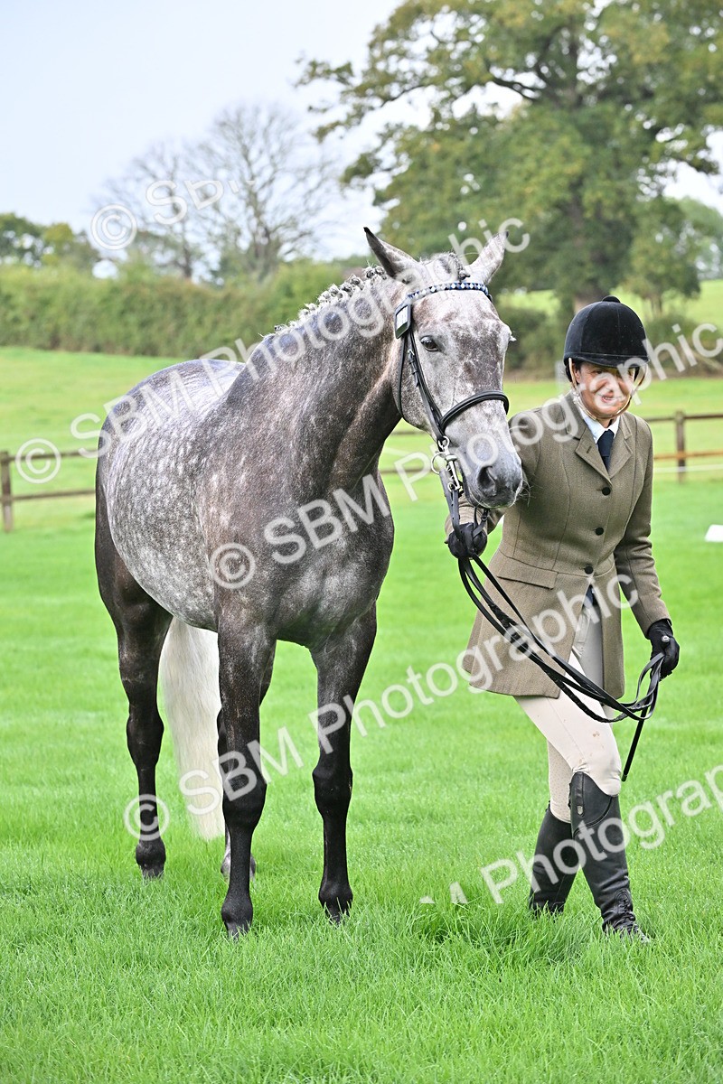 SBM_32634 - S15 - Top Turnout In Hand