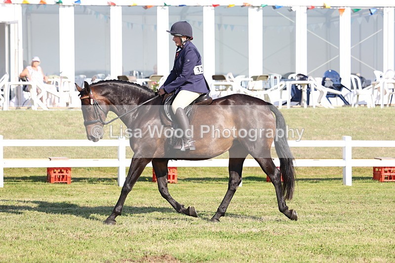 3E7A5351 - Class 2: Rising Star Large Hack/Riding Horse