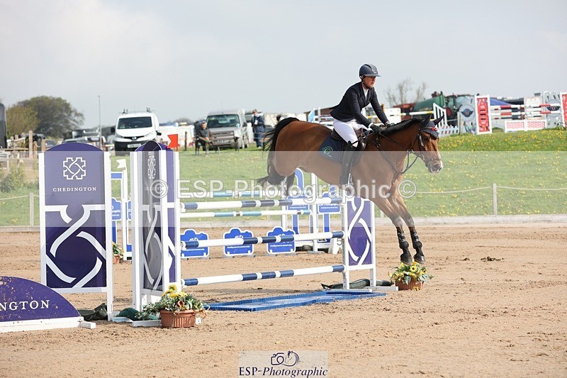 250424-102446-03001 - Cls 33 Young Horse 7yr old