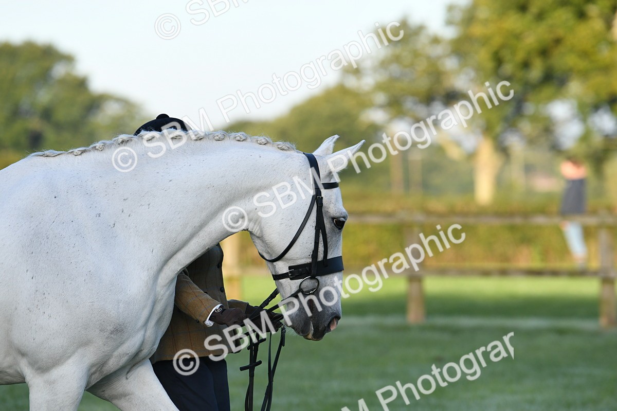 SBM_32461 - S15 - Condition & Turnout In Hand