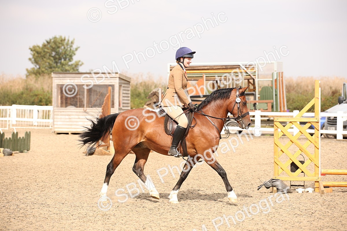 SBM_12236 - Class 405a - M&M Working Veteran 50cm (15-19)