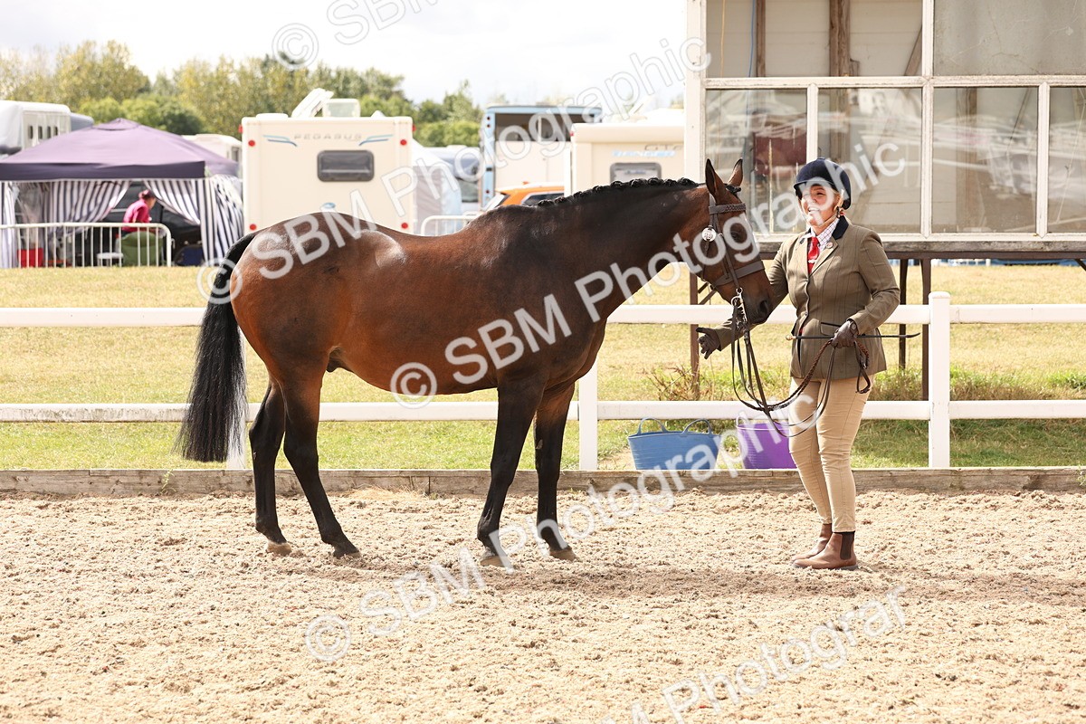 SBM_14657 - Class 208 - IH Veteran Horse