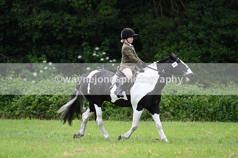 WJ7_2383 - Class 12A Coloured Class