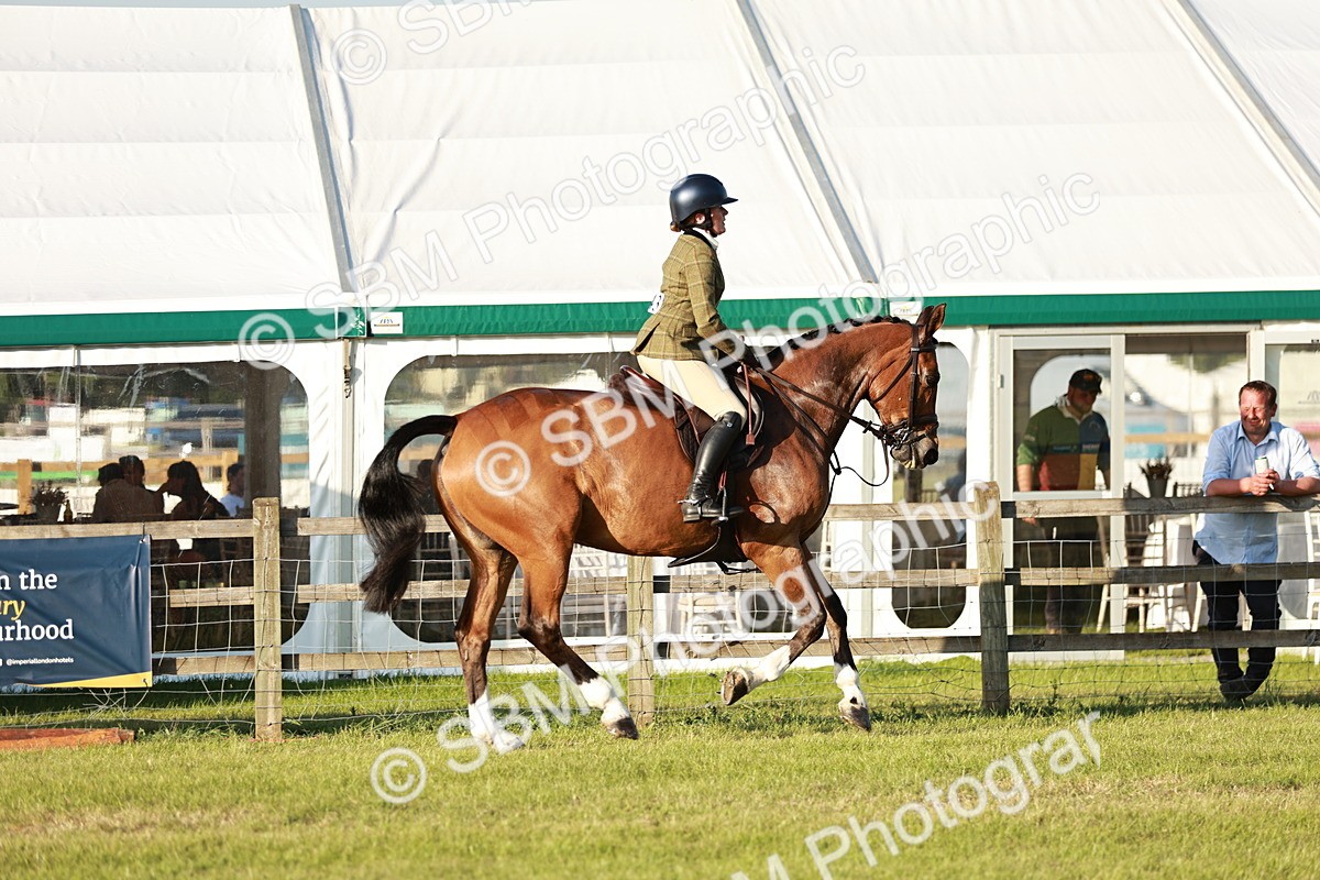 SBM_20463 - Class 117-119 - Sport Horse Working Hunter