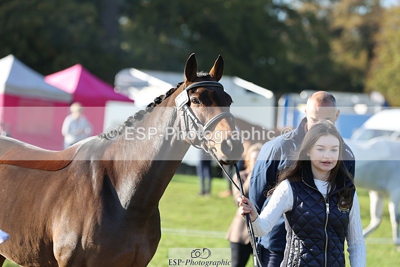 241027-100021-15631 - 410-Mae.Jackson-SWEET.RIOT