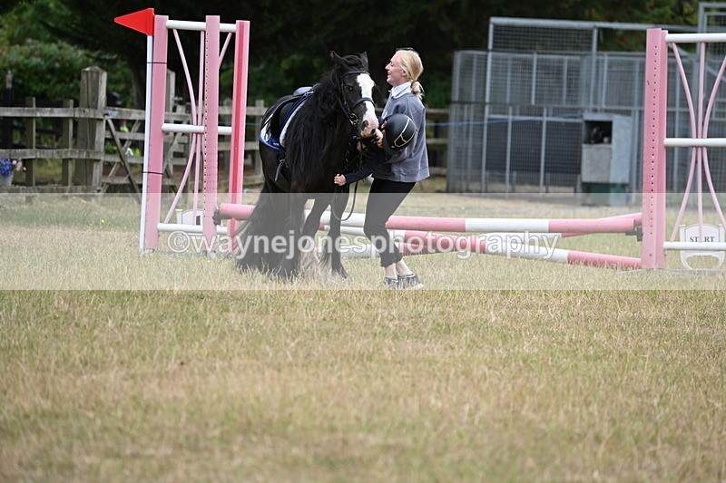 WJ6_9501 - Class 12 Minimus Jumping 45cm