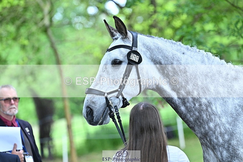 250521A-155333-00827 - B-377-Millie.Juleff-CFH.DAKAR.HILL