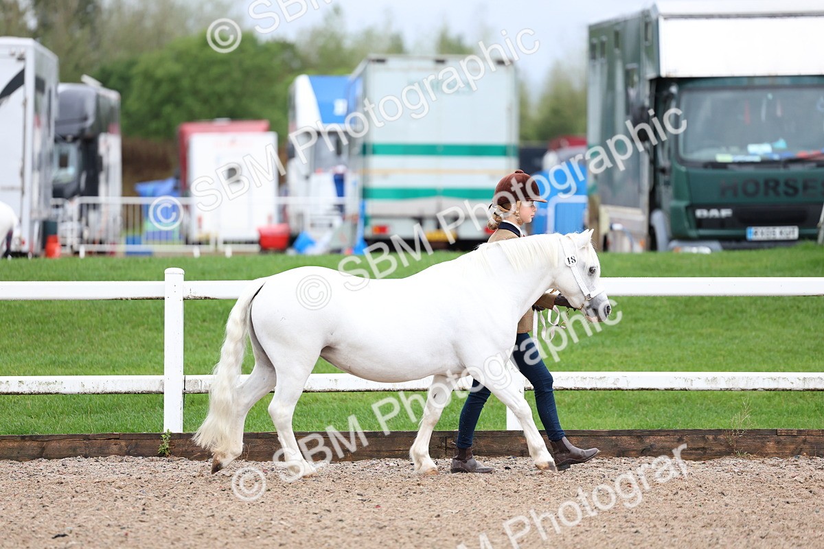 SBM_00214 - Class 13 - Young Handler