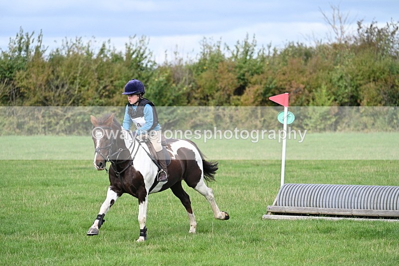 WJ7_8410 - 60cm Pairs