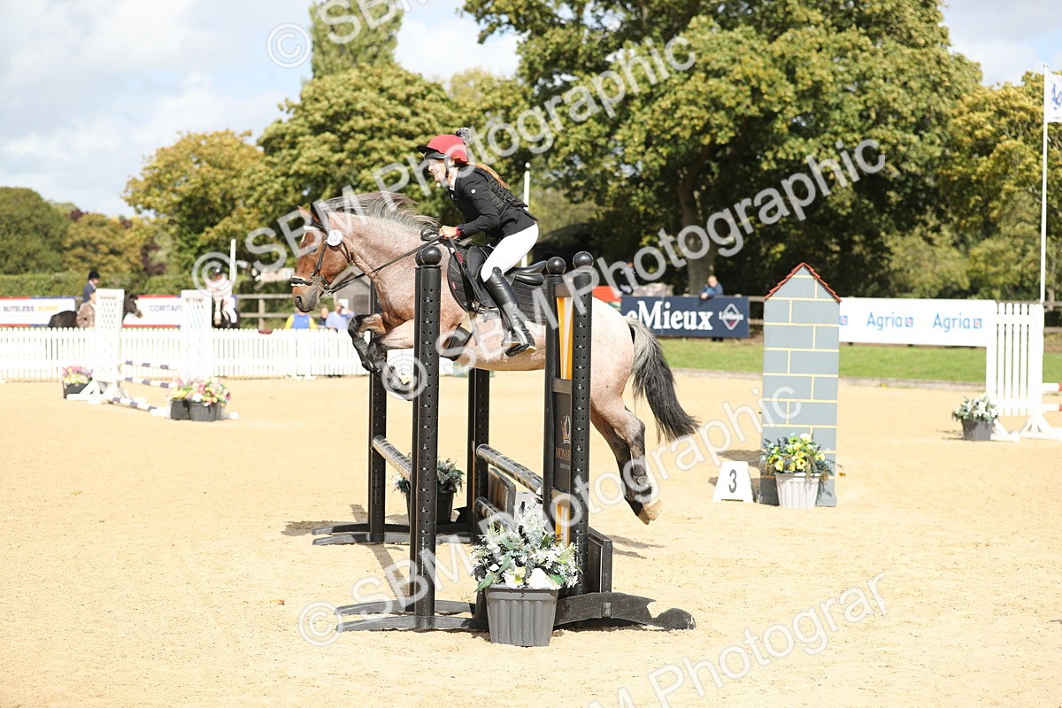 SBM_08436 - J30 - Senior Horse & Pony 70cm Championship