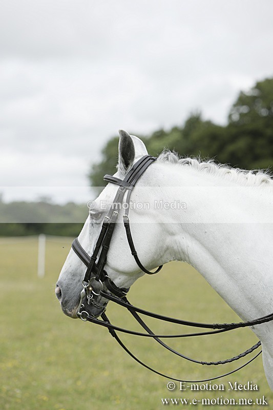 BVR160717-2398 - Side Saddle Classes 16/07/17