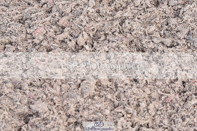 230314A-123217-01198 - Cls 4 SJ 80cm