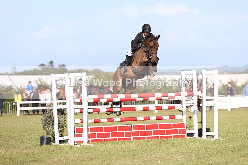 3E7A4504 - Class C: Showjumping Senior Foxhunter