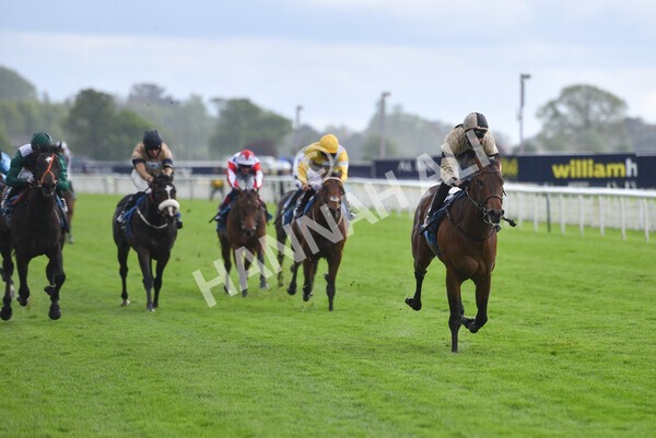 yr22052021r5-17 - Race 5 4.20pm William Hill EBF Novice Stakes (Plus 10 Race)