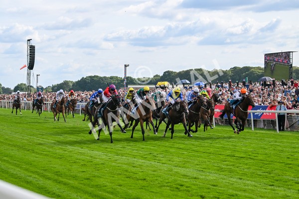 260725-Race 7-Chesneys Charm-7948 - Race 7 5.00pm Sky Bet Extra Places Every Day Handicap