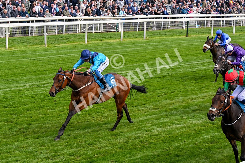 150526-Race 4-Love A Giggle-0229 - Race 4 3.30pm Design Tonic Out Of This World Spaces At The Races EBF Marygate Fillies' Stakes