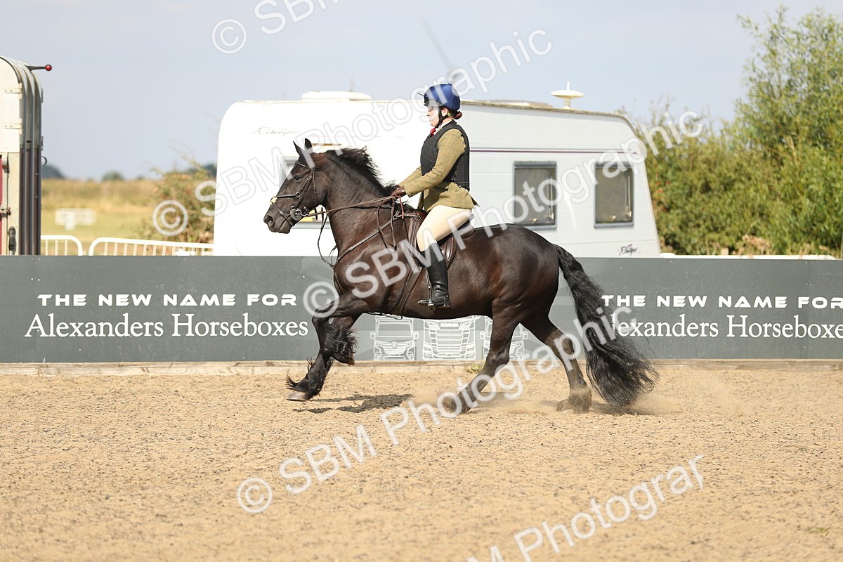 SBM_06862 - Class 49a Style & Performance 80cm (15-19)