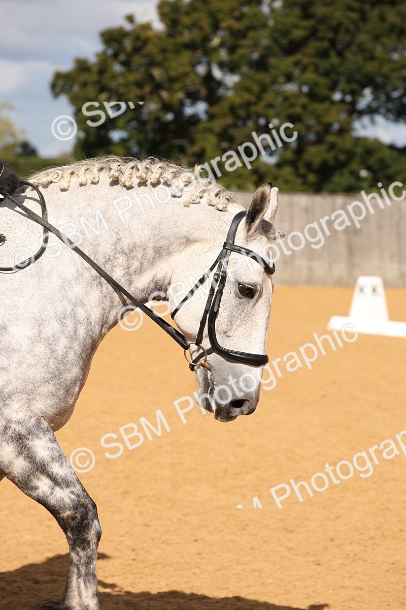 SBM_04297 - D2 Small Tour Championship Intro C