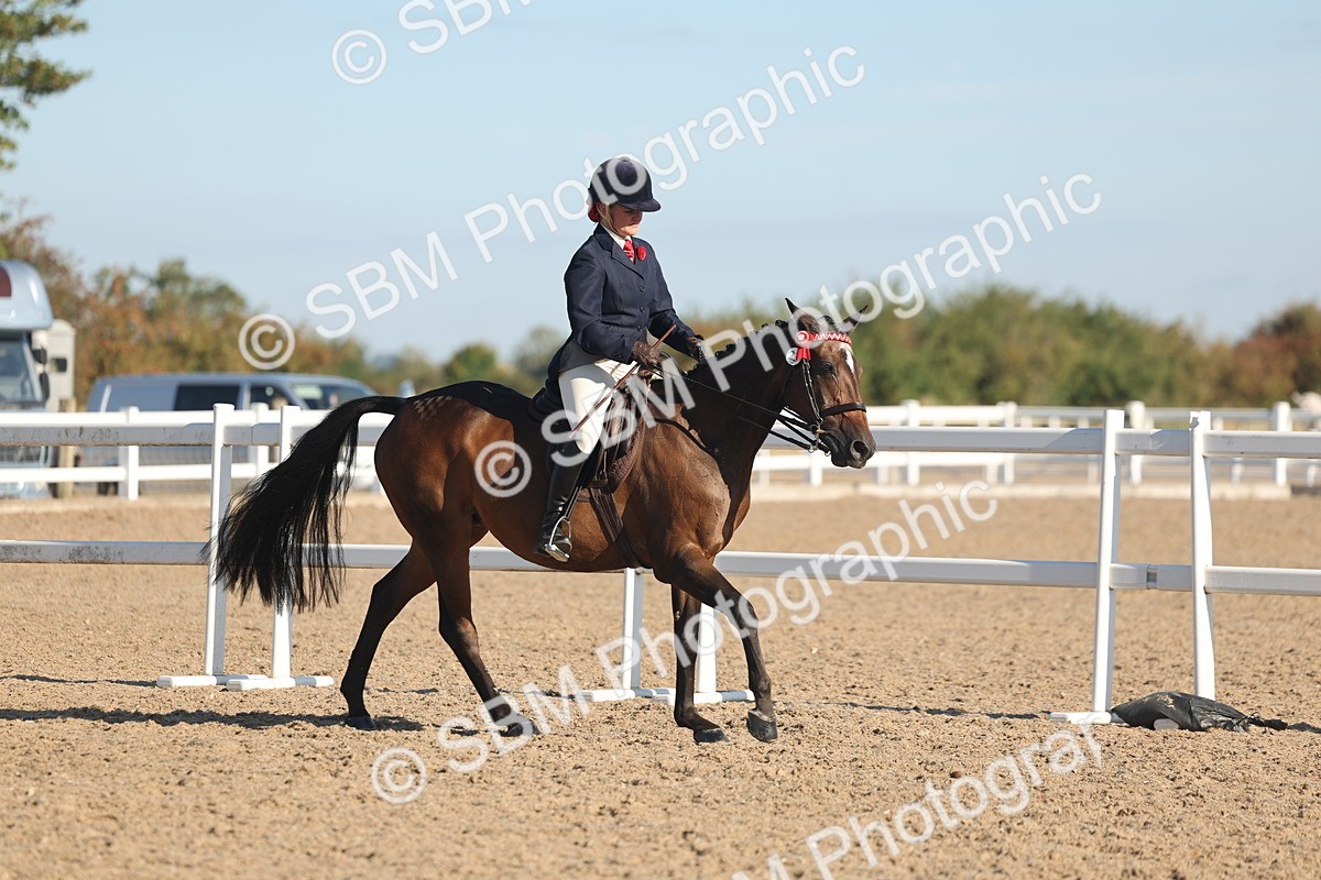 SBM_12169 - Class 303 - Ridden Pure Bred Horse Pony