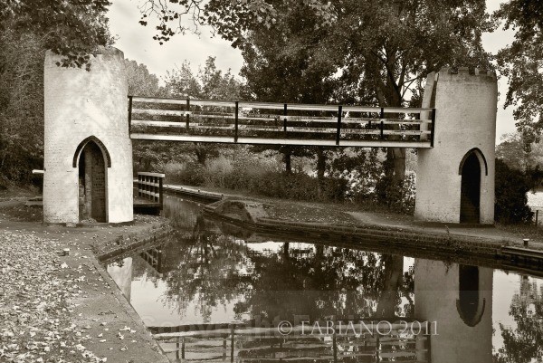  - General Photography