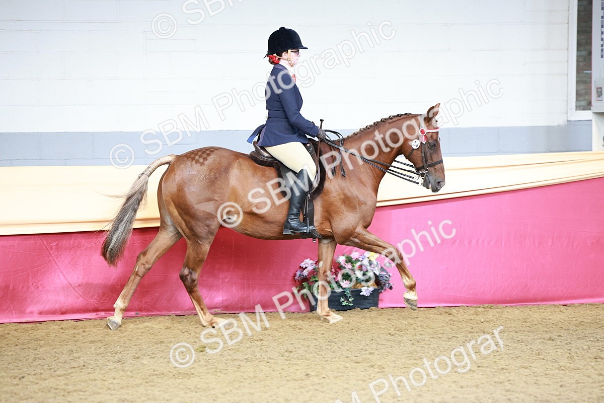 SBM_11928 - Class 102 - Equitation (Best Rider) Adult