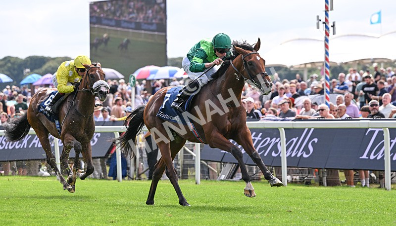 190826-042 Haffner - Race 2 14.25pm Tattersalls Acomb Stakes