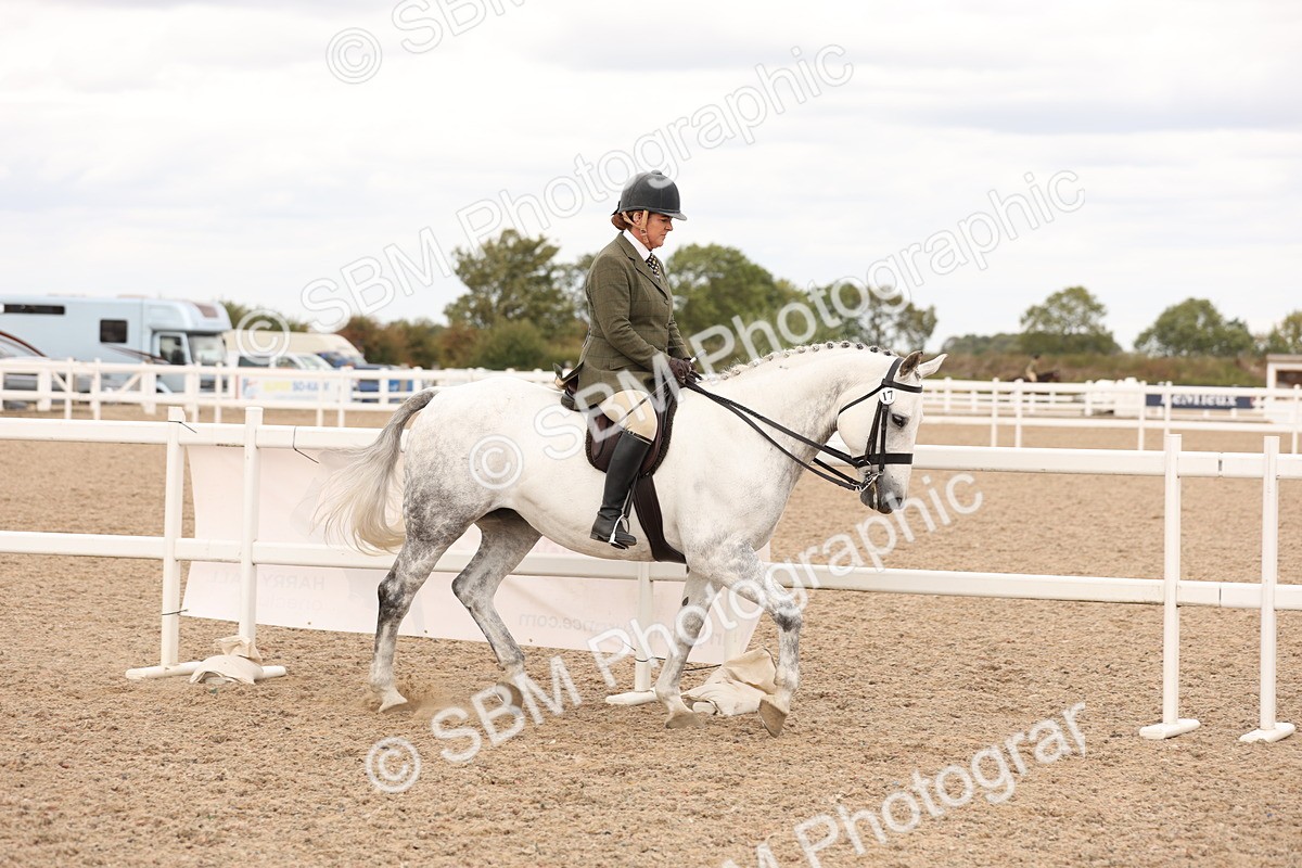 SBM_16471 - Class 212 - Ridden Hunter - Small