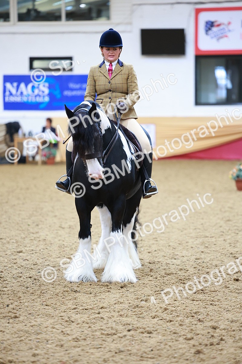 SBM_06269 - Class 12R - Ridden Pre-Vet