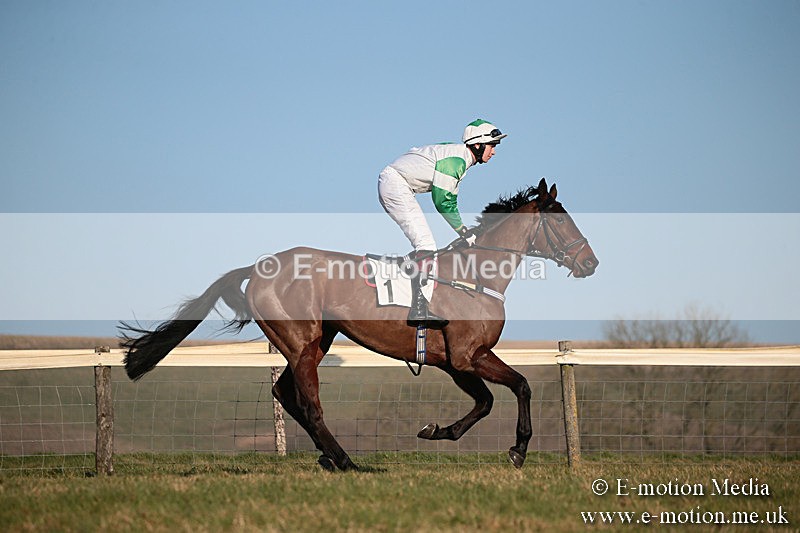PtP 230219 496 - Vine & Craven Point-To-Point - Barbury 23/02/19