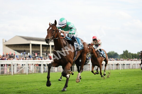 yr04092022r6-37 - Race 6 4.40pm Hanson Springs Stakes