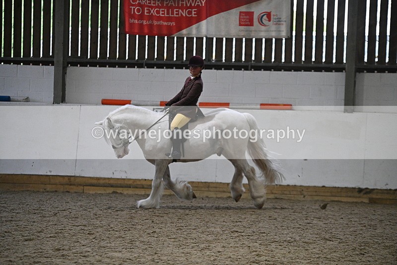 WJ7_4182 - Class 17 Ridden Cob