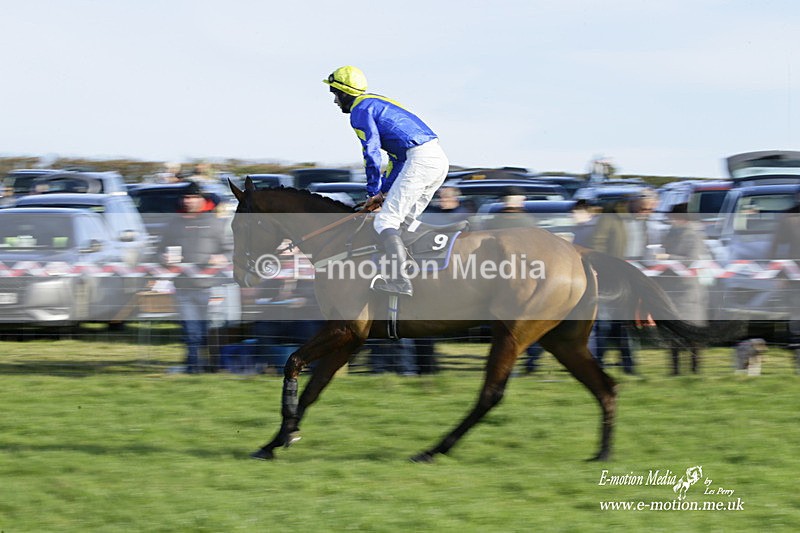 PtP 300122 185 - South Dorset Hunt - Point-to-Point Races 30/01/2022