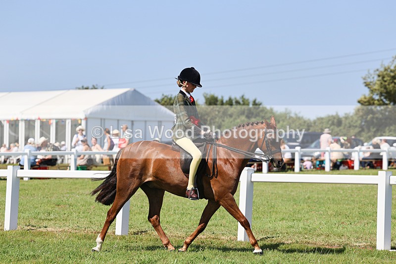 IMG_2067 - Class 34: Show Hunter Pony 153cm and under
