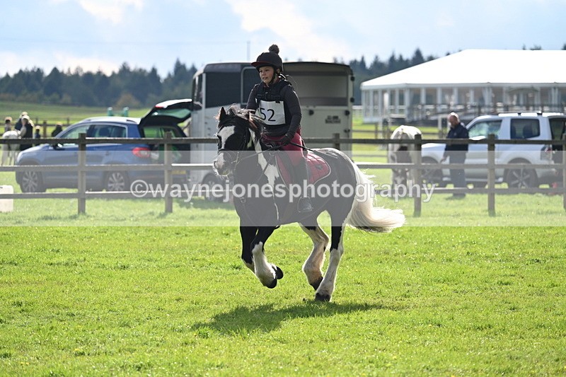 WJ7_3719 - 40cm Time 10:26 to 10:42