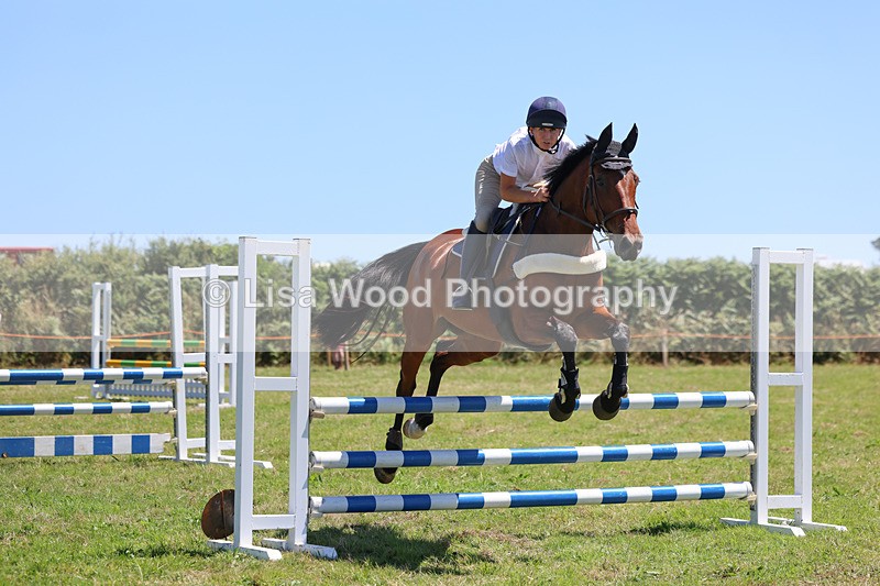 3E7A5477 - Class 9: Senior British Novice/90cm open