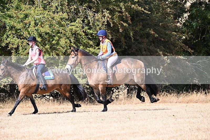 WJ6_8795 - Time 11:53 to 11:56
